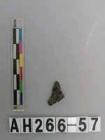 藏品(打製石鏃)的圖片